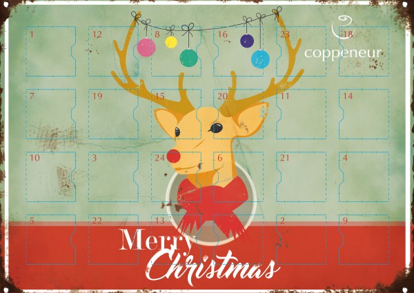 Adventskalender Sterne