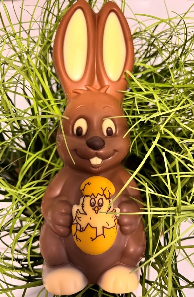Hase mit Küken